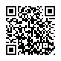 To view this 2017 Ford Expedition New Braunfels TX from Randy Adams Inc., please scan this QR code with your smartphone or tablet to view the mobile version of this page.