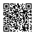 To view this 2009 Ford E-Series Van New Braunfels TX from Randy Adams Inc., please scan this QR code with your smartphone or tablet to view the mobile version of this page.