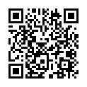 To view this 2008 Kenworth T300 New Braunfels TX from Randy Adams Inc., please scan this QR code with your smartphone or tablet to view the mobile version of this page.