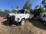 2002 White Freightliner FL70 - (1FVABTBS52D) with an 8.3L L6 DIESEL engine, located at 1687 Business 35 S, New Braunfels, TX, 78130, (830) 625-7159, 29.655487, -98.051491 - Photo#0