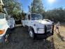 2002 White Freightliner FL70 - (1FVABTBS52D) with an 8.3L L6 DIESEL engine, located at 1687 Business 35 S, New Braunfels, TX, 78130, (830) 625-7159, 29.655487, -98.051491 - Photo#1