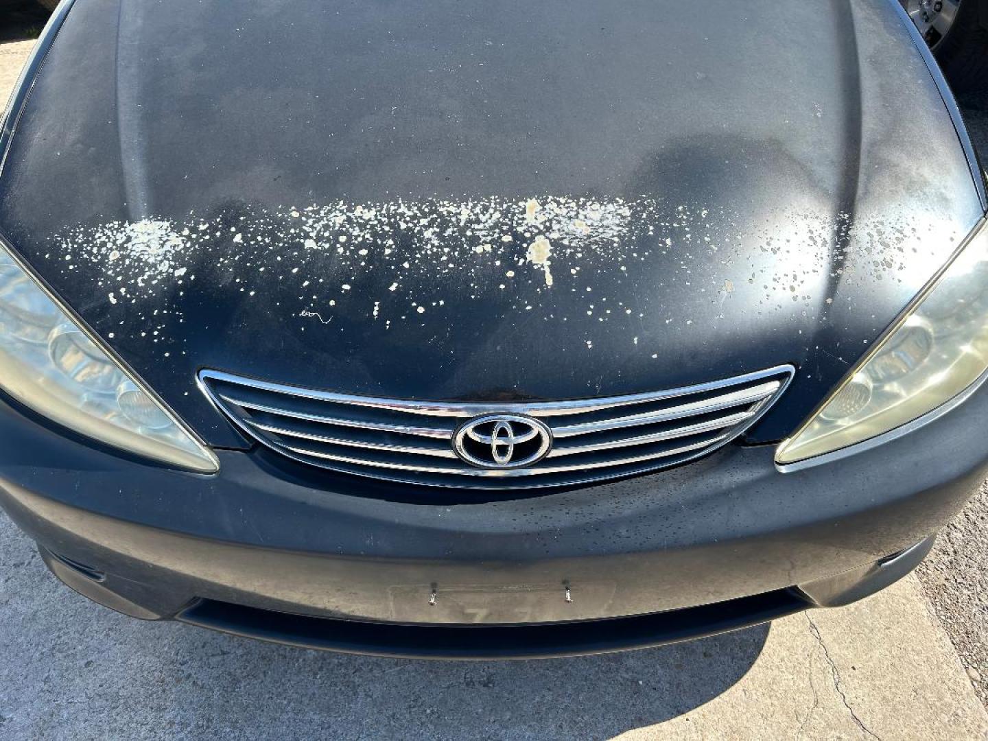2005 Black /Gray Toyota Camry LE (4T1BE32K65U) with an 2.4L L4 DOHC 16V engine, located at 1687 Business 35 S, New Braunfels, TX, 78130, (830) 625-7159, 29.655487, -98.051491 - Photo#19
