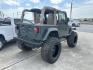 2004 Jeep Wrangler Sahara (1J4FA59S24P) with an 4.0L L6 OHV 12V engine, located at 1687 Business 35 S, New Braunfels, TX, 78130, (830) 625-7159, 29.655487, -98.051491 - Photo#2