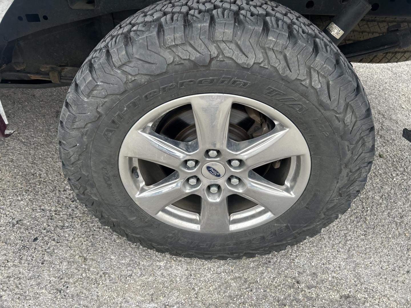 2020 White Ford F-150 XL SuperCrew 6.5-ft. Bed 4WD (1FTFW1E53LK) with an 5.0L V8 OHV 16V engine, 6A transmission, located at 1687 Business 35 S, New Braunfels, TX, 78130, (830) 625-7159, 29.655487, -98.051491 - Photo#9