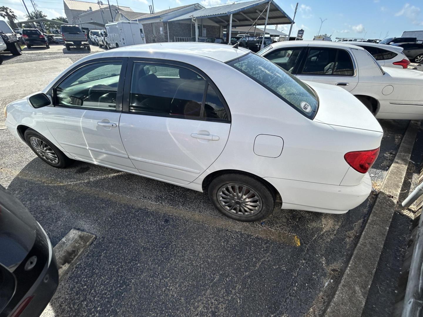 2006 White Toyota Corolla CE (2T1BR32E76C) with an 1.8L L4 DOHC 16V engine, located at 1687 Business 35 S, New Braunfels, TX, 78130, (830) 625-7159, 29.655487, -98.051491 - Photo#7