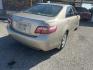2007 Gold Toyota Camry CE 5-Spd AT (4T4BE46K07R) with an 2.4L L4 DOHC 16V engine, 5-Speed Automatic Overdrive transmission, located at 1687 Business 35 S, New Braunfels, TX, 78130, (830) 625-7159, 29.655487, -98.051491 - Photo#6