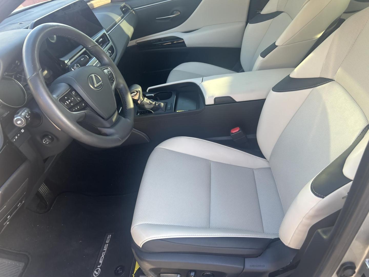 2024 Silver Lexus ES 350 Base (58ADZ1B19RU) with an 3.5L V6 DOHC 24V engine, 8A transmission, located at 1687 Business 35 S, New Braunfels, TX, 78130, (830) 625-7159, 29.655487, -98.051491 - Photo#10