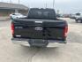 2016 Black Ford F-150 XLT SuperCrew 5.5-ft. 2WD (1FTEW1CF6GF) with an 5.0L V8 engine, 6A transmission, located at 1687 Business 35 S, New Braunfels, TX, 78130, (830) 625-7159, 29.655487, -98.051491 - Photo#7