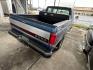 1991 Blue Ford F-150 Reg. Cab Long Bed 4WD (2FTEF14N1MC) with an 5.0L V8 OHV 16V engine, 4-Speed Automatic Overdrive transmission, located at 1687 Business 35 S, New Braunfels, TX, 78130, (830) 625-7159, 29.655487, -98.051491 - Photo#4
