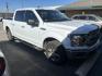 2020 White Ford F-150 XLT SuperCrew 5.5-ft. 2WD (1FTEW1CP6LK) with an 2.7L V6 DOHC 24V engine, 6A transmission, located at 1687 Business 35 S, New Braunfels, TX, 78130, (830) 625-7159, 29.655487, -98.051491 - Photo#1