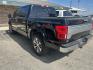 2019 Black Ford F-150 King Ranch SuperCrew 6.5-ft. Bed 4WD (1FTEW1E43KF) with an 3.5L V6 TURBO engine, 6A transmission, located at 1687 Business 35 S, New Braunfels, TX, 78130, (830) 625-7159, 29.655487, -98.051491 - Photo#7