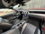 2022 Red Ford Mustang GT Premium Convertible (1FATP8FF0N5) with an 5.0L V8 DOHC 32V engine, located at 1687 Business 35 S, New Braunfels, TX, 78130, (830) 625-7159, 29.655487, -98.051491 - Photo#4