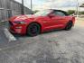 2022 Red Ford Mustang GT Premium Convertible (1FATP8FF0N5) with an 5.0L V8 DOHC 32V engine, located at 1687 Business 35 S, New Braunfels, TX, 78130, (830) 625-7159, 29.655487, -98.051491 - Photo#0