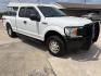 2019 White Ford F-150 XL SuperCab 8-ft. Bed 4WD (1FTFX1E46KK) with an 3.5L V6 DOHC 24V engine, 6A transmission, located at 1687 Business 35 S, New Braunfels, TX, 78130, (830) 625-7159, 29.655487, -98.051491 - Photo#1