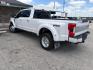 2018 White Ford F-450 SD Platinum Crew Cab DRW 4WD (1FT8W4DT5JE) with an 6.7L V8 OHV 16V DIESEL engine, 6A transmission, located at 1687 Business 35 S, New Braunfels, TX, 78130, (830) 625-7159, 29.655487, -98.051491 - Photo#9