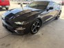 2022 Black Ford Mustang EcoBoost Coupe (1FA6P8TH0N5) with an 2.3L L4 DOHC 16V engine, located at 1687 Business 35 S, New Braunfels, TX, 78130, (830) 625-7159, 29.655487, -98.051491- Photo#0