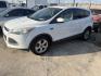 2016 White Ford Escape SE FWD (1FMCU0G95GU) with an 2.0L L4 DOHC 16V engine, 6A transmission, located at 1687 Business 35 S, New Braunfels, TX, 78130, (830) 625-7159, 29.655487, -98.051491- Photo#0