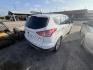 2016 White Ford Escape SE FWD (1FMCU0G95GU) with an 2.0L L4 DOHC 16V engine, 6A transmission, located at 1687 Business 35 S, New Braunfels, TX, 78130, (830) 625-7159, 29.655487, -98.051491- Photo#6