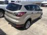 2018 Gold Ford Escape S FWD (1FMCU0F78JU) with an 2.5L L4 DOHC 16V engine, 6A transmission, located at 1687 Business 35 S, New Braunfels, TX, 78130, (830) 625-7159, 29.655487, -98.051491- Photo#6