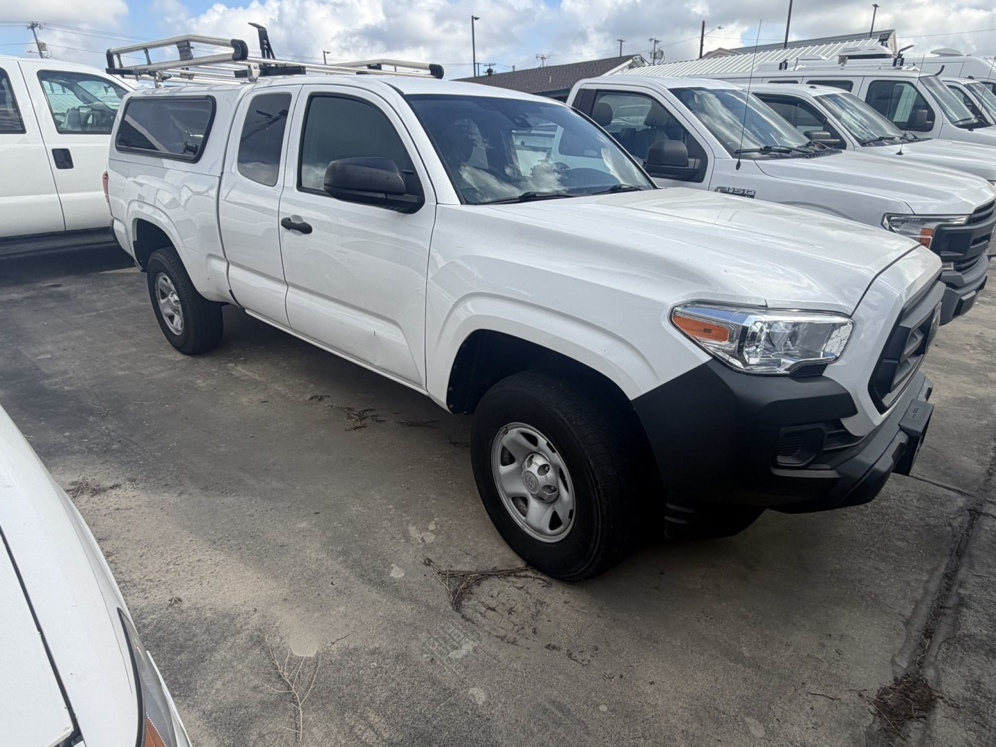 2023 White Toyota Tacoma SR5 Access Cab I4 6AT 2WD (3TYRX5GN4PT) with an 2.7L L4 DOHC 16V engine, 6A transmission, located at 1687 Business 35 S, New Braunfels, TX, 78130, (830) 625-7159, 29.655487, -98.051491- Photo#1