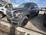 2018 Grey Toyota Tundra SR5 4.6L V8 CrewMax 2WD (5TFEM5F19JX) with an 4.6L V8 DOHC 32V engine, 6A transmission, located at 1687 Business 35 S, New Braunfels, TX, 78130, (830) 625-7159, 29.655487, -98.051491- Photo#0