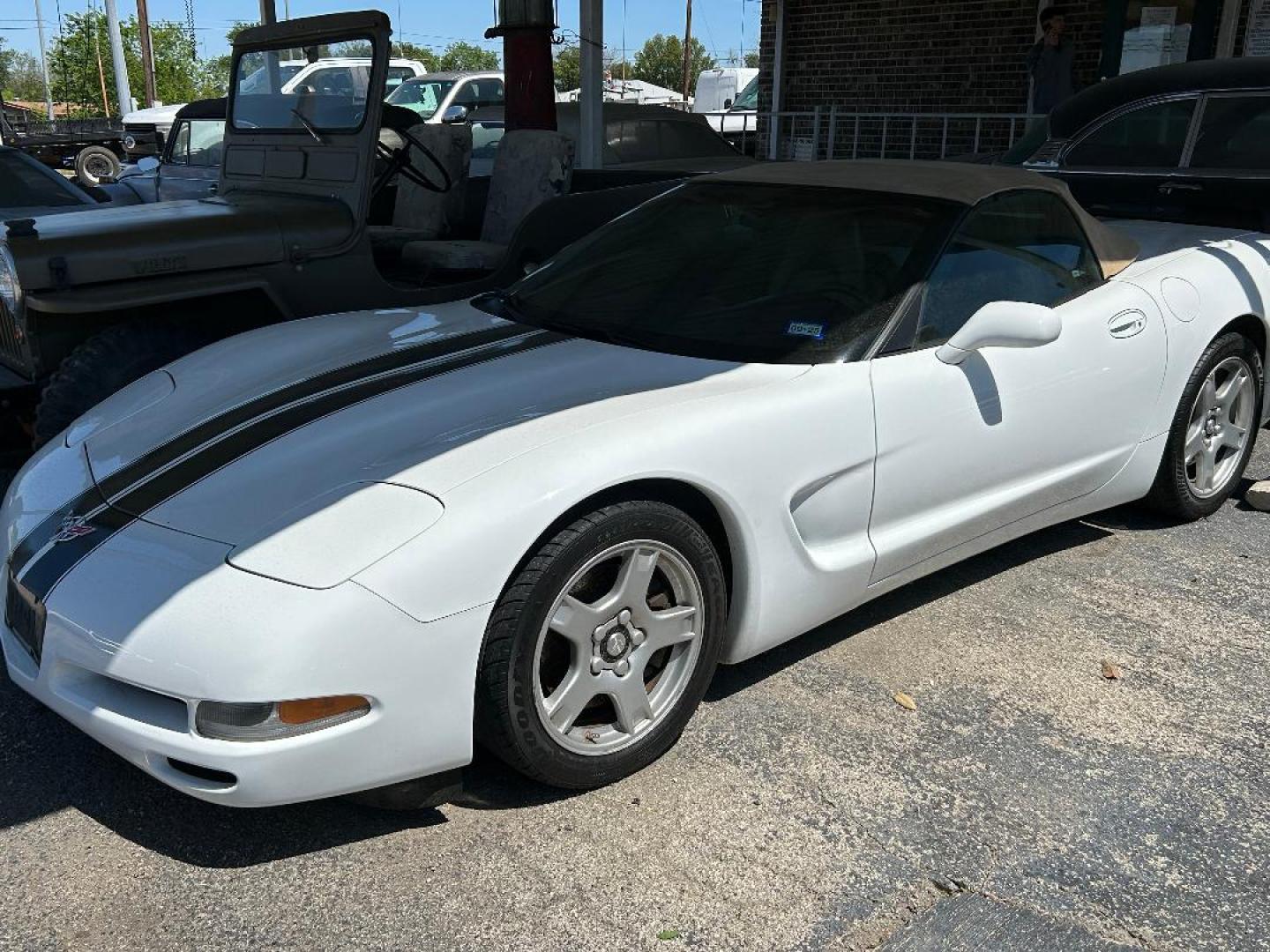 1999 White /Tan Chevrolet Corvette Convertible Convertible (1G1YY32G2X5) with an 5.7L V8 OHV 16V engine, Automatic transmission, located at 1687 Business 35 S, New Braunfels, TX, 78130, (830) 625-7159, 29.655487, -98.051491 - Photo#0