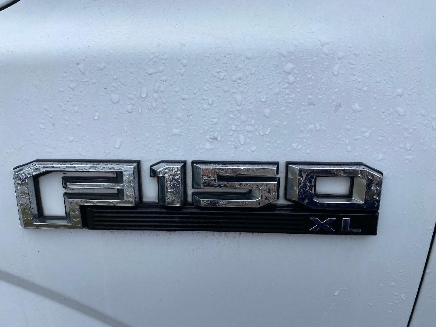 2019 White Ford F-150 XL SuperCab 6.5-ft. 4WD (1FTFX1E59KK) with an 5.0L V8 OHV 16V engine, 6A transmission, located at 1687 Business 35 S, New Braunfels, TX, 78130, (830) 625-7159, 29.655487, -98.051491 - Photo#10